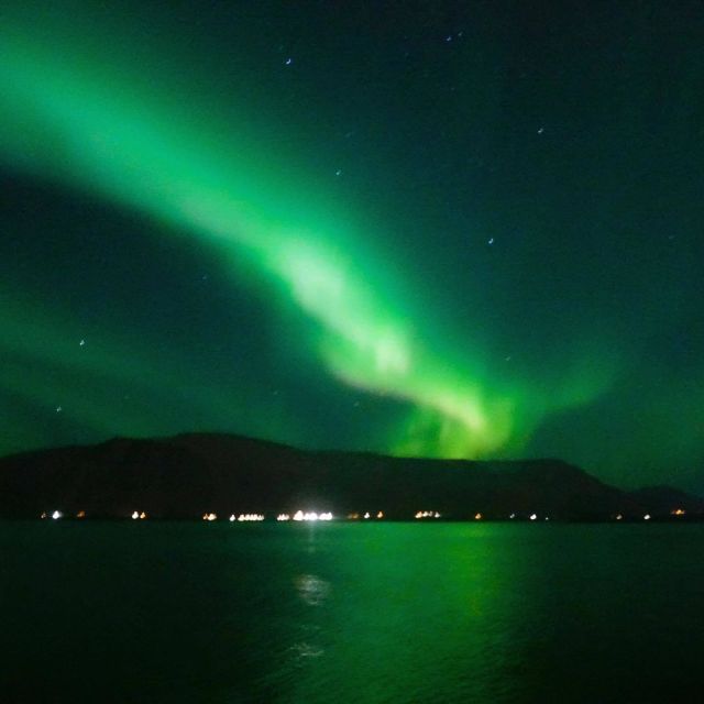 From Reykjavik: Northern Lights Boat Cruise - Booking Details