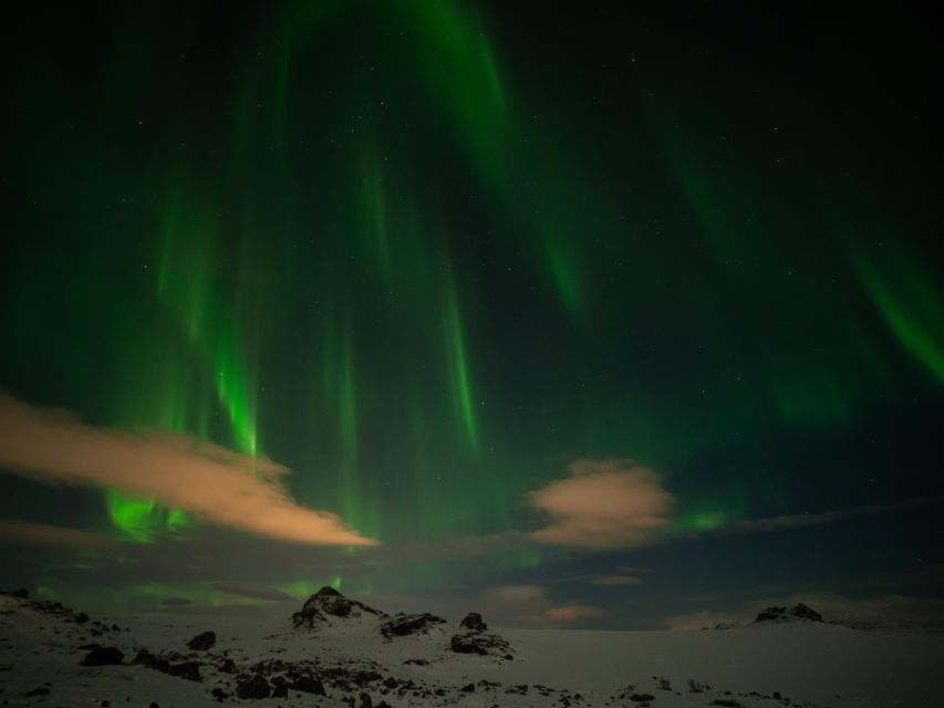 From Reykjavik: Northern Lights Tour With Hot Cocoa & Photos - Customer Ratings and Reviews