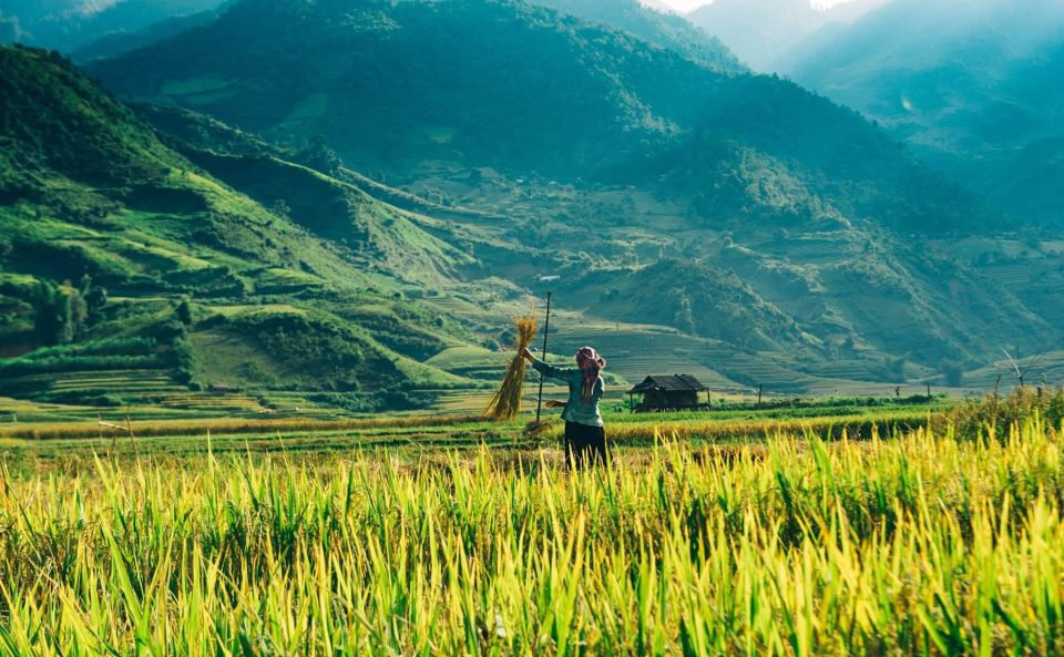 From Sapa : 1 Day Amazing Sapa Trek to Terrace Rice Field - Ethnic Village Exploration