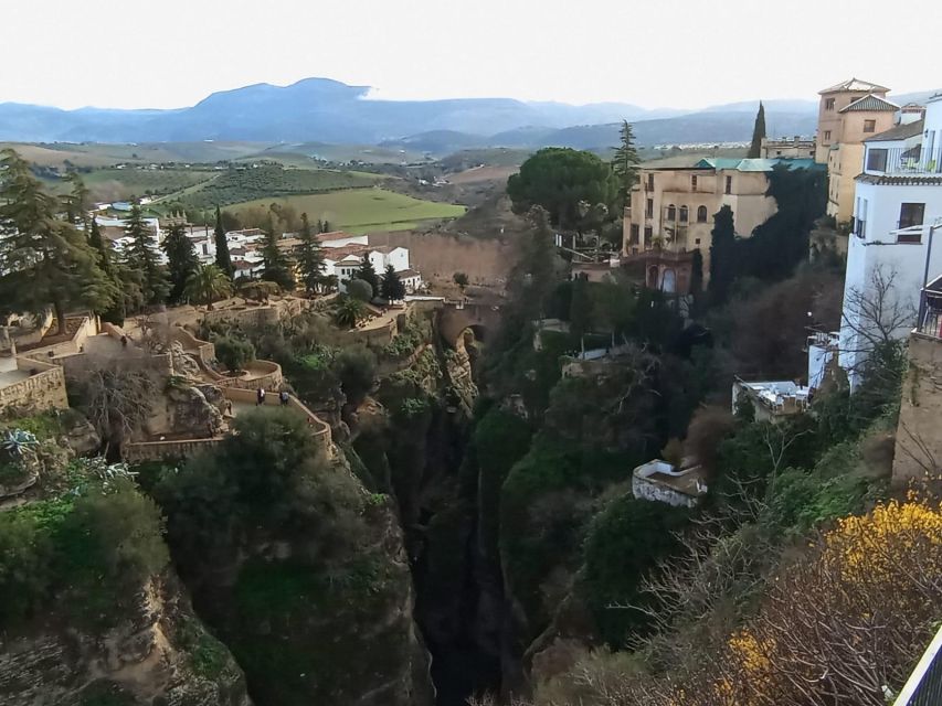 From Seville: Ronda and Setenil De Las Bodegas Day Trip - Activity Highlights