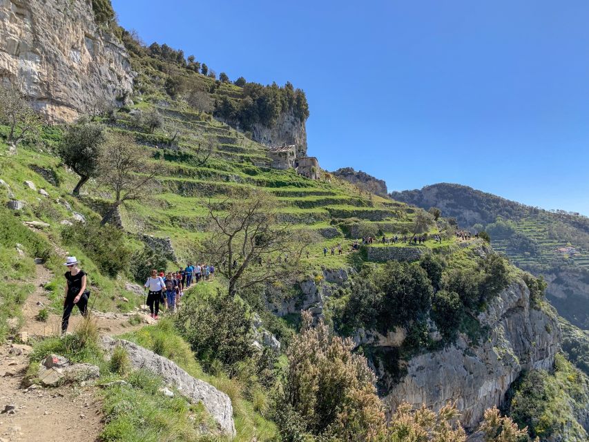 From Sorrento: Path of the Gods Hiking Experience - Meeting Point & Information