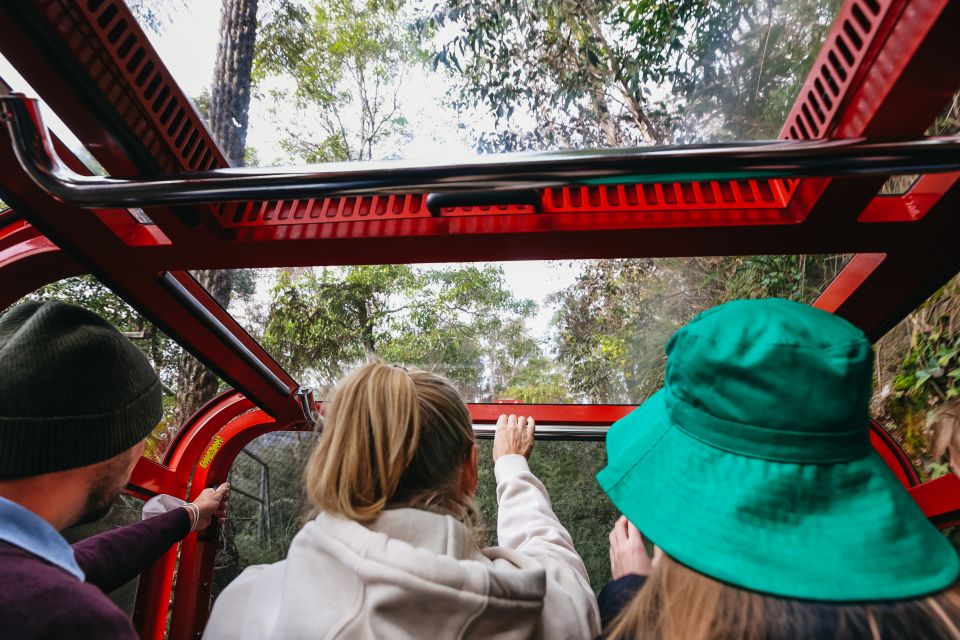 From Sydney: Blue Mountains, Scenic World All Inclusive Tour - Additional Tour Information and Highlights