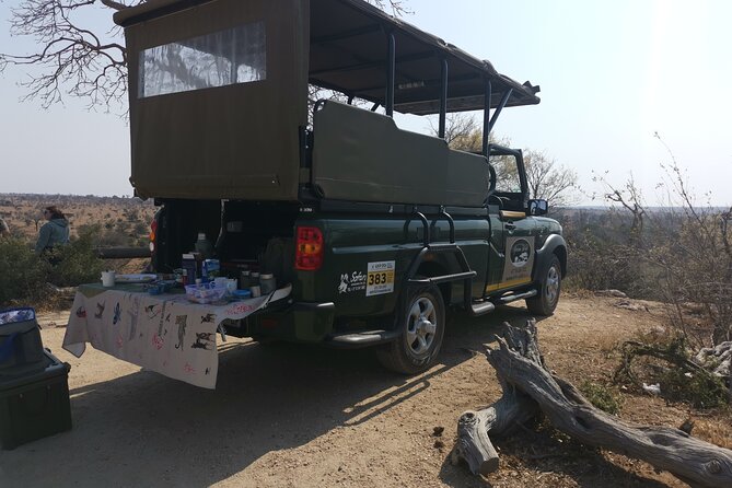 Full Day in Central Kruger National Park With Open Safari Vehicle - Sunset Game Drive Experience