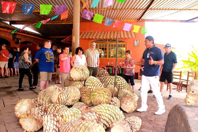 Full-Day Puerto Vallarta City Highlights Tour - Common questions