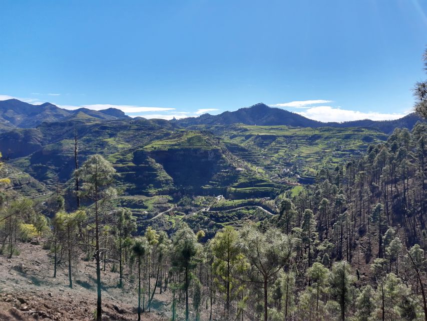 Gran Canaria: Full-Day Guided Hiking With Snacks - Booking Information