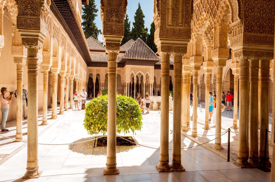 Granada: Alhambra Complex Guided Tour Options - Available Options