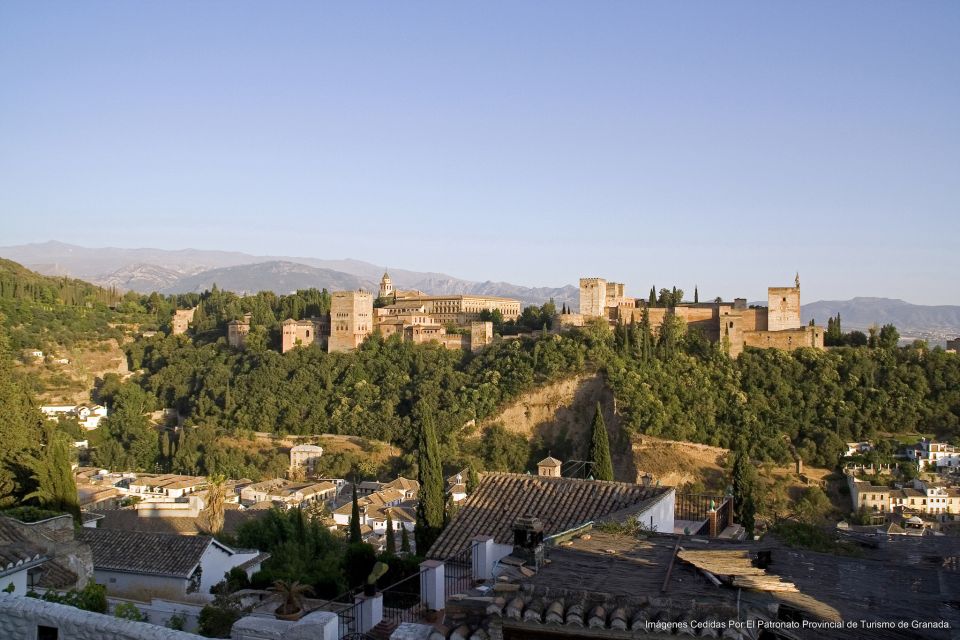 Granada: Alhambra Guided Tour and Flamenco Show - Customer Reviews and Ratings