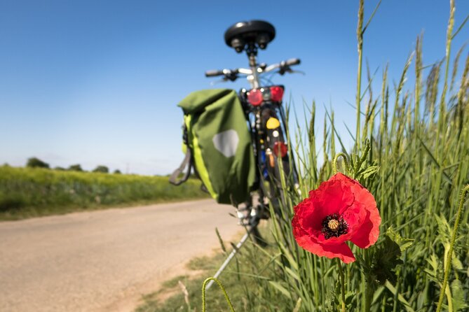 Half-day Hoi An Countryside Bike Tour - Booking Information