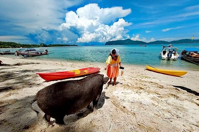 Half-Day Pig Island (Koh Madsum) and Koh Tan Speedboat Tour - Last Words