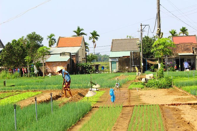 Half Day Ride Bike to the Farm and Cooking Activity With Foot Massage - Pricing and Inclusions