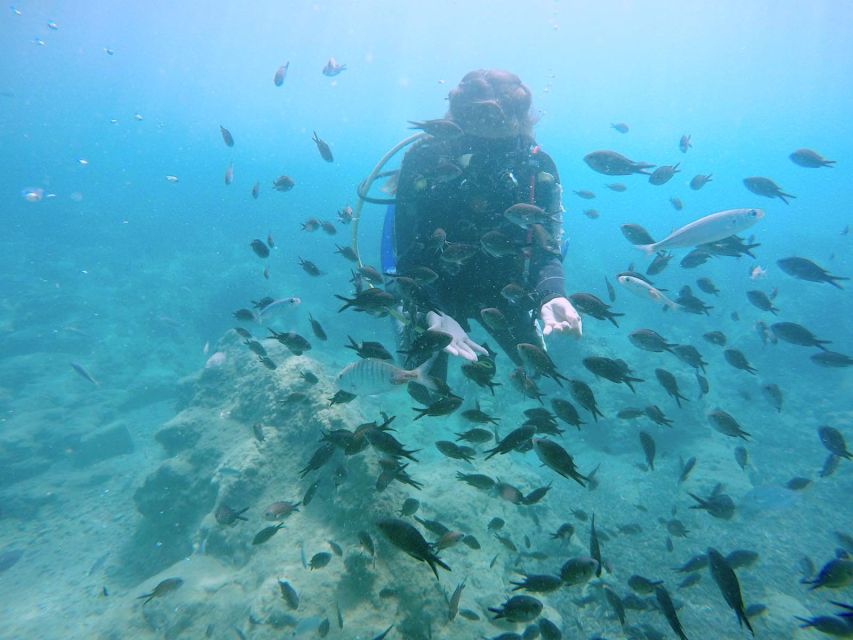 Hersonissos, Stalida: Beginner Scuba Diving Experience - Program Location