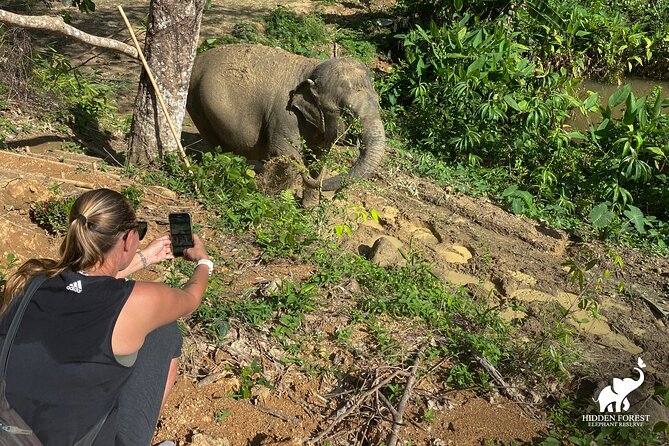 Hidden Forest Elephant Reserve: Guided Tour With Lunch & Transfer - Customer Reviews