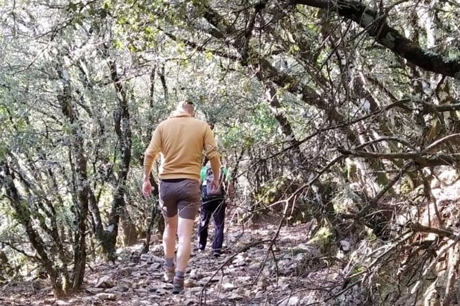 Hiking in "Escaleretas" Spanish Fir Forest - Last Words