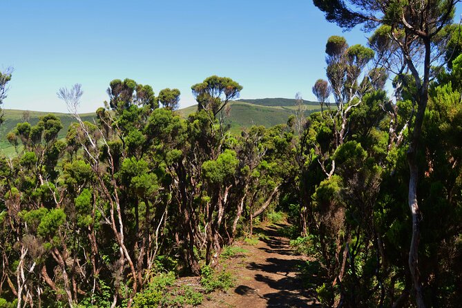 Hiking Trail: Passagem Das Bestas - Terceira Island - Common questions