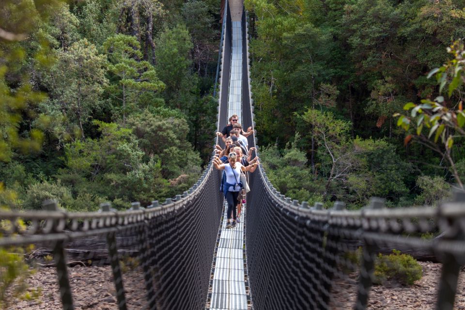 Hobart: Full-Day Tahune Airwalk & Hastings Caves Tour - Common questions