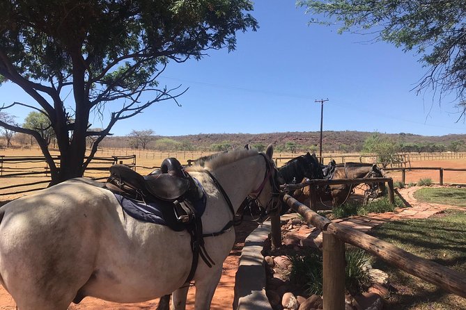 Horse Riding Safari From Johannesburg - Explore the Wilderness on Horseback