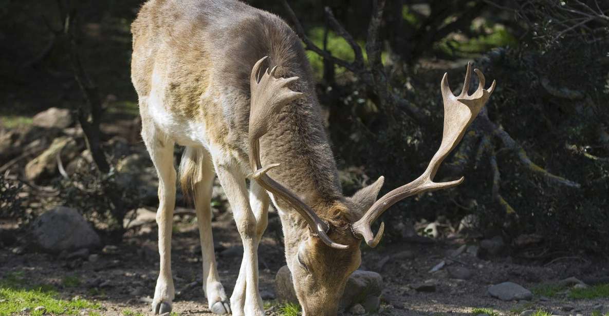 Is Cannoneris Nature Reserve Walking and Jeep Private Tour - Booking Information