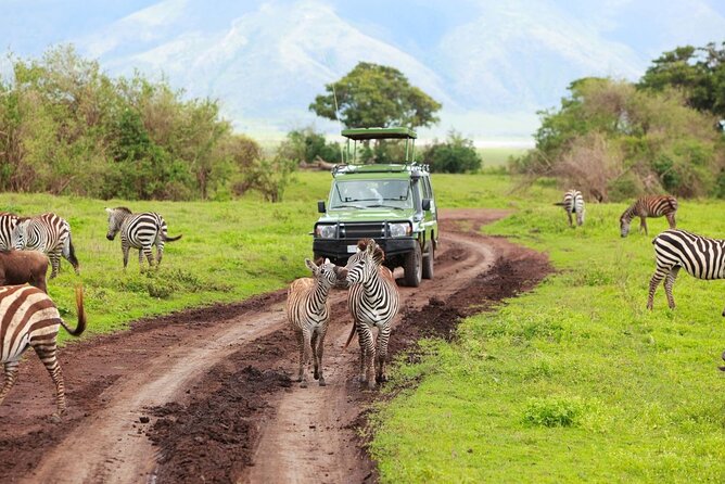 Isimangaliso Wetlands, Plus Hippo & Croc Boat Cruise Full Day Tour From Durban - Common questions