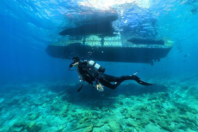 Kusadasi Beginner'S Scuba Dive W/Boat Ride & Lunch - Traveler Photo Policy Information