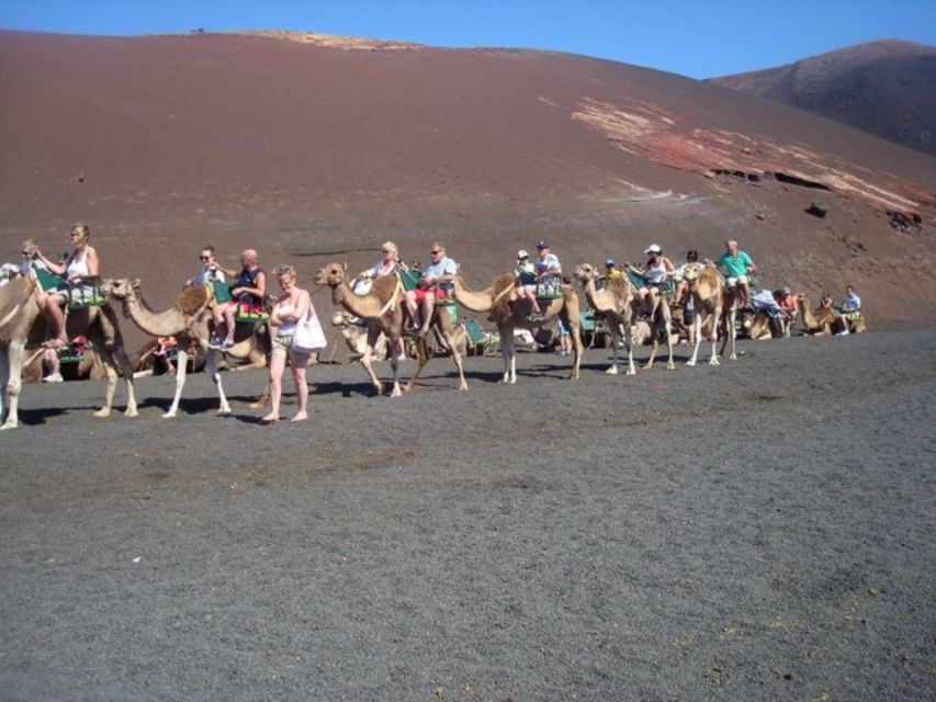 Lanzarote: Timanfaya National Park Tour - Traveler Experiences