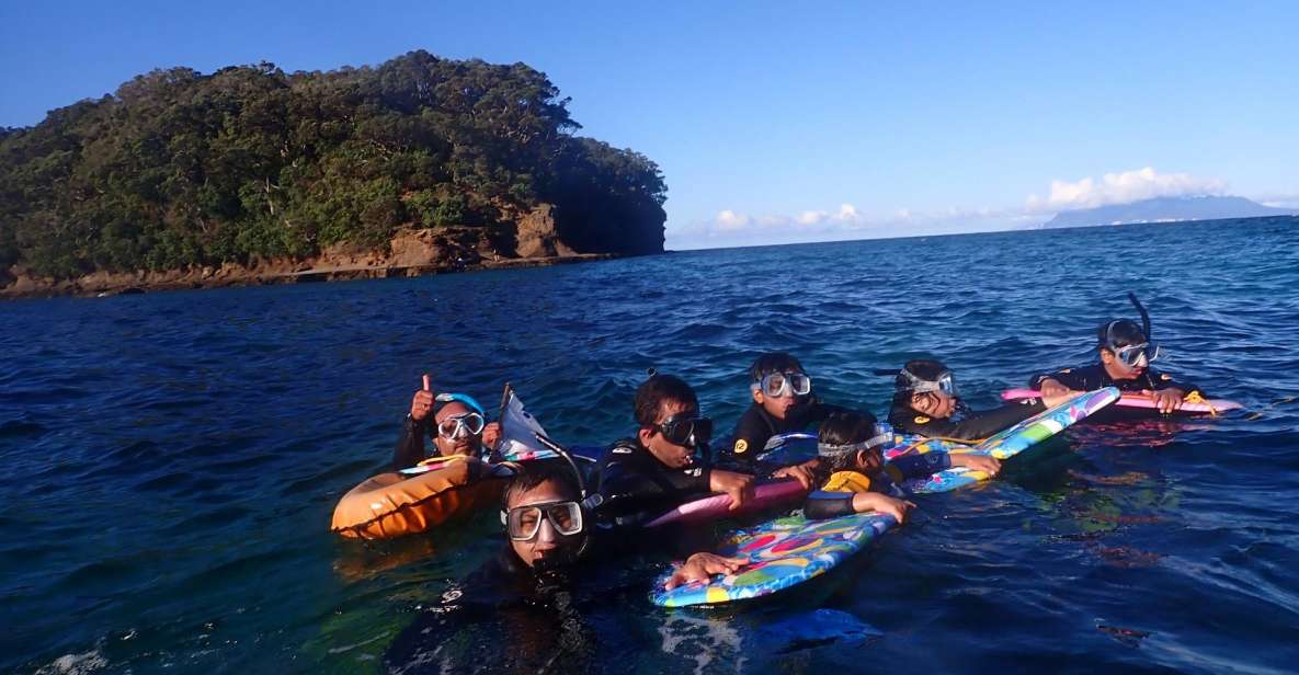 Leigh: Goat Island Guided Snorkeling Tour for Beginners - Last Words