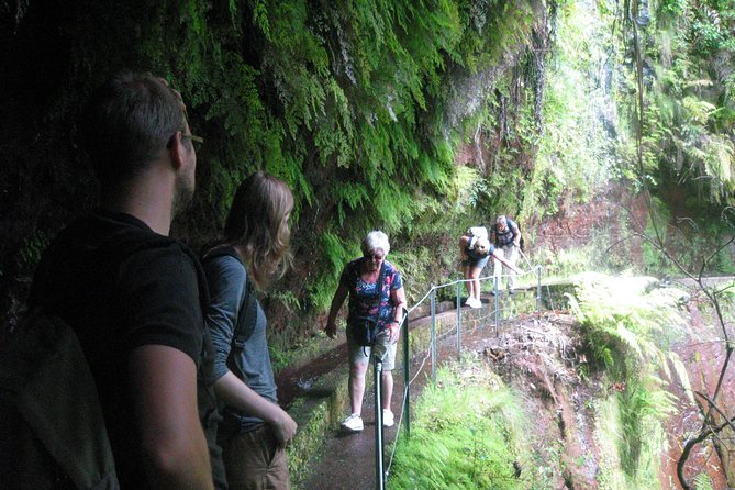 Levada Do Rei - Ribeiro Bonito (Full Day Walk) - Safety and Regulations