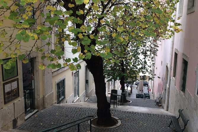 Lisbon Downtown and Chiado_ Private Tour - Important Information