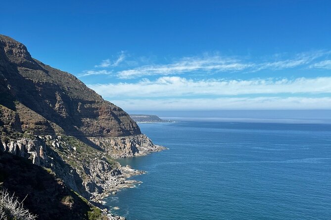 Magnificent Cape Peninsula Private Tour - Customer Testimonials