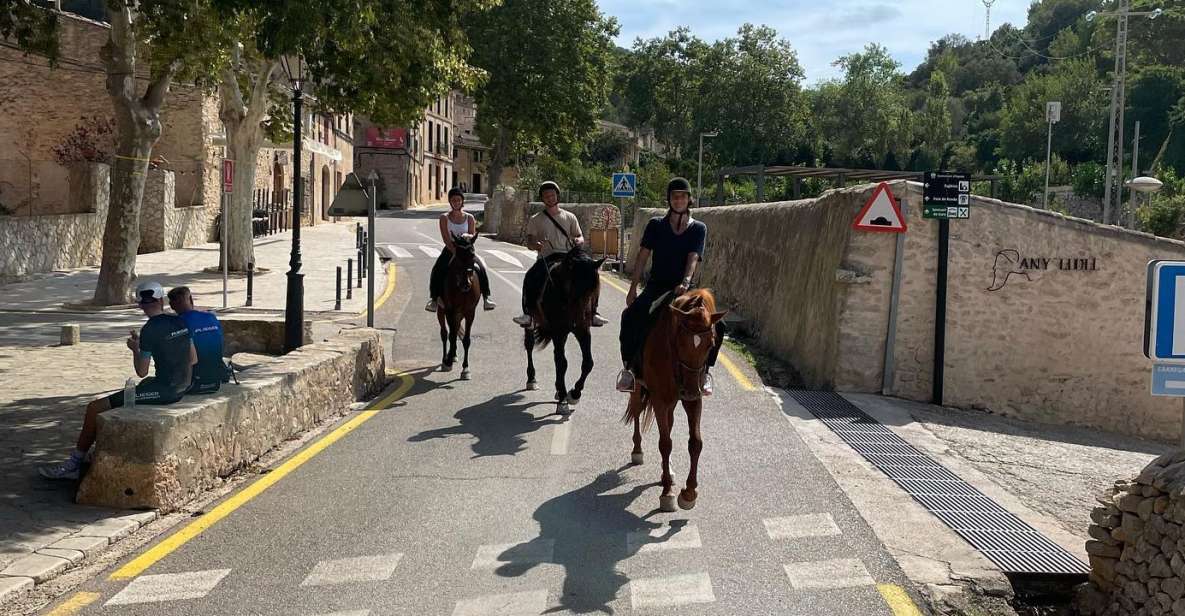 Mallorca: Activity With Horses, Antique Mallorca - Location Details and Immersive Experience
