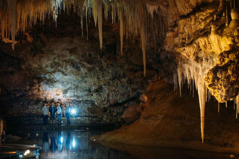 Margaret River: Lake Cave Fully-Guided Tour - Overall Rating