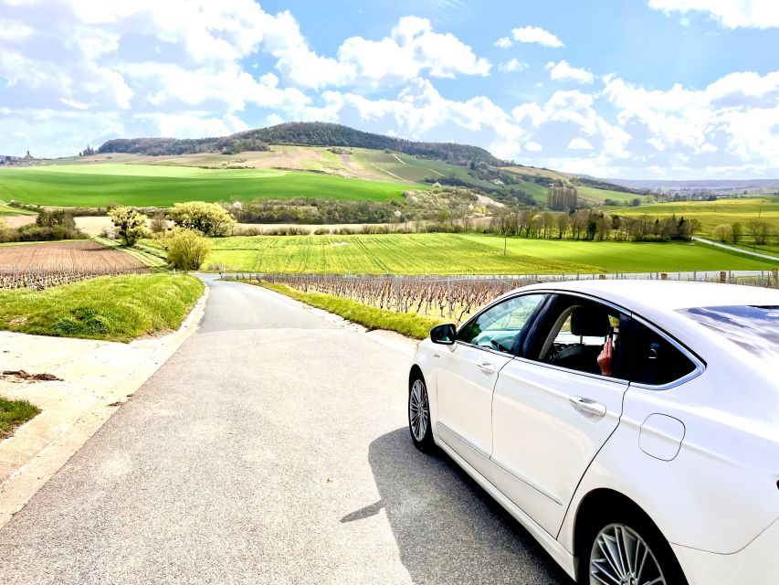 Medoc Tour : Margaux, Saint Estèphe and Greediness - Embracing Medocs Wine Culture