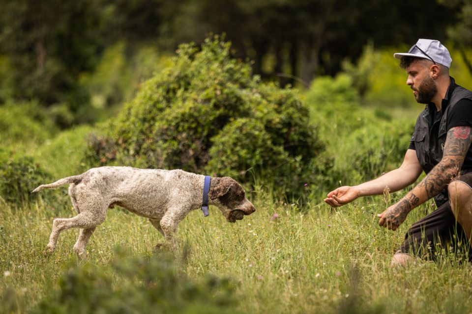 Meteora Truffle Hunting Experience With Lunch & Museum Visit - Reservation Details