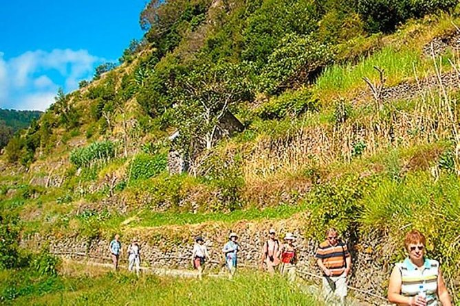 Mimosa Valley and Marocos Levada Guided Walk  - Madeira - Booking and Cancellation Information