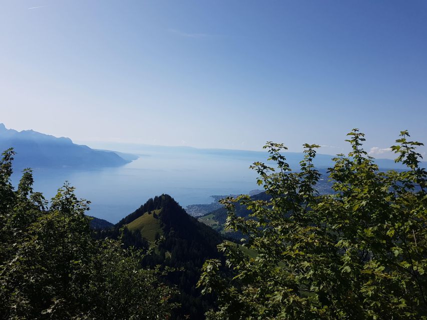 Montreux to Rochers-de-Naye: Alpine Adventure Ticket - Booking & Flexibility