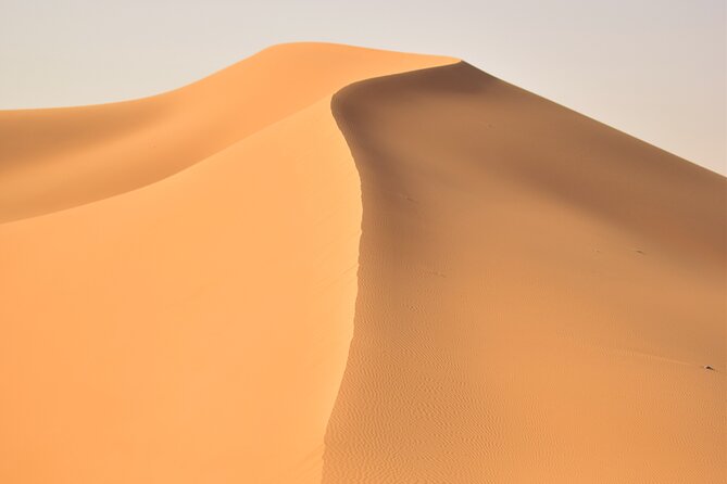 Morning Red Dune Desert Safari With Sandboarding, Camelride & More - Common questions