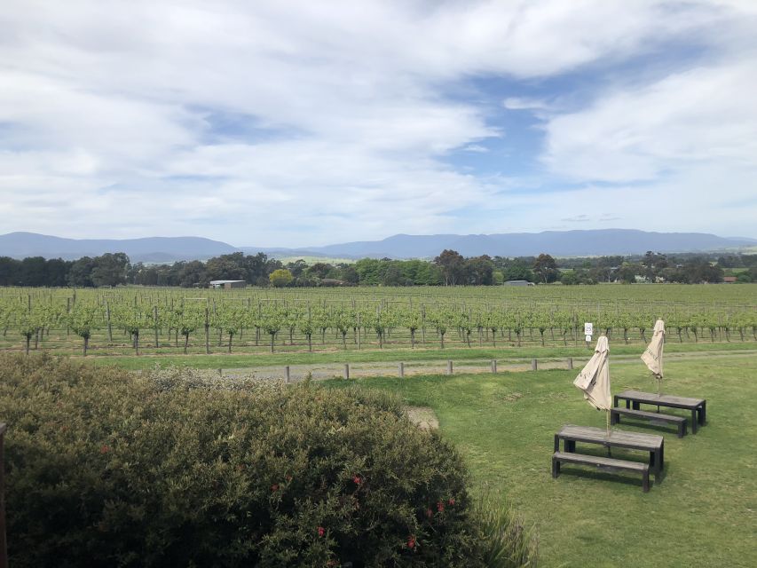 Mornington Peninsula Winery Bus Tour With Lunch & Wine - Customer Reviews