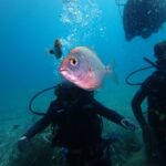 5 naxos discover scuba diving your first experience diving Naxos: Discover Scuba Diving - Your First Experience Diving