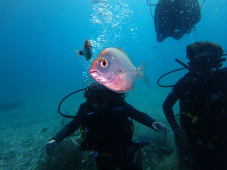 Naxos: Discover Scuba Diving – Your First Experience Diving