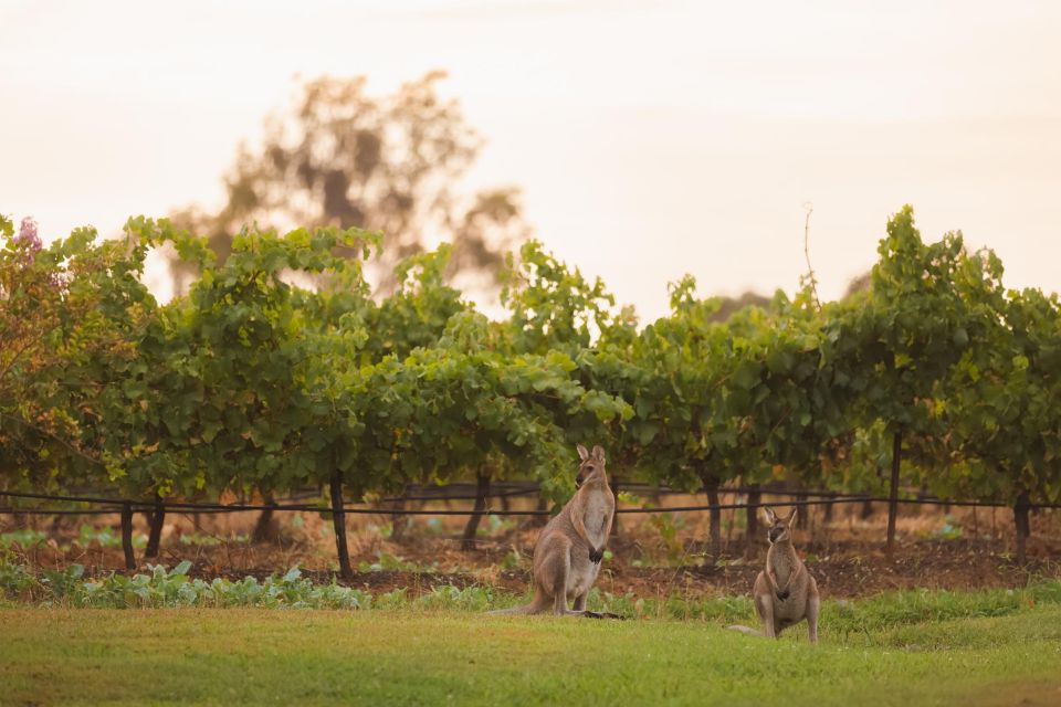 Newcastle: Boutique Hunter Valley Wine Tour - Directions