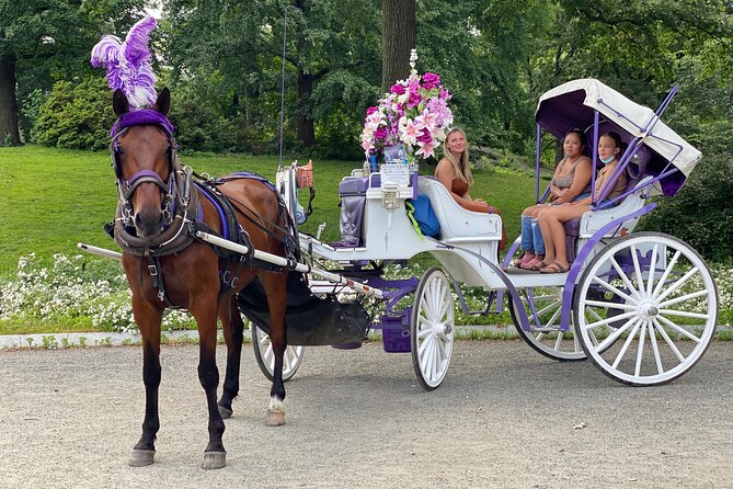 NYC Central Park Horse Carriage Rides - Directions to Meeting Location