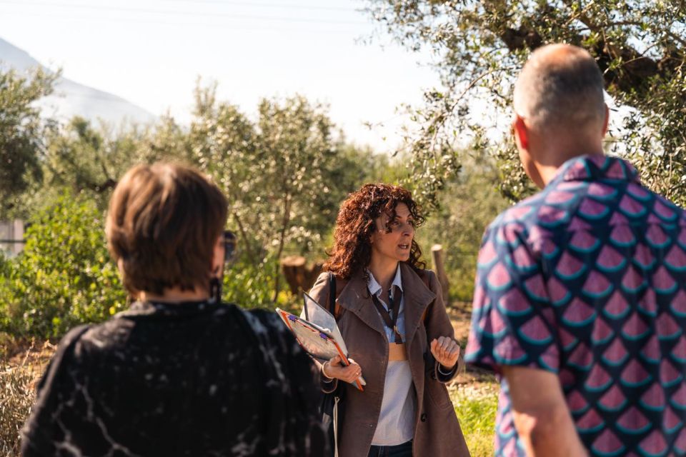Olive Oil Tour & Tasting in Kalamata, Messinia, Greece - Meeting Point and Transfers