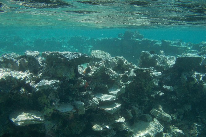 Olous – Guided Snorkelling Excursion to Discover Olous Sunken Ancient City - Cancellation Policy and Refunds