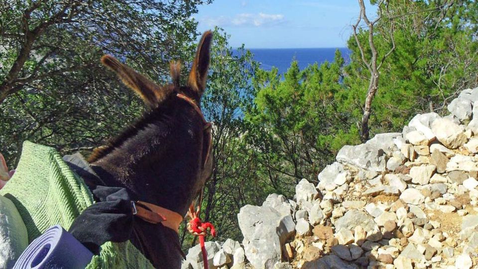 Orosei Gulf: 3 Days Trekking With Donkeys - Last Words