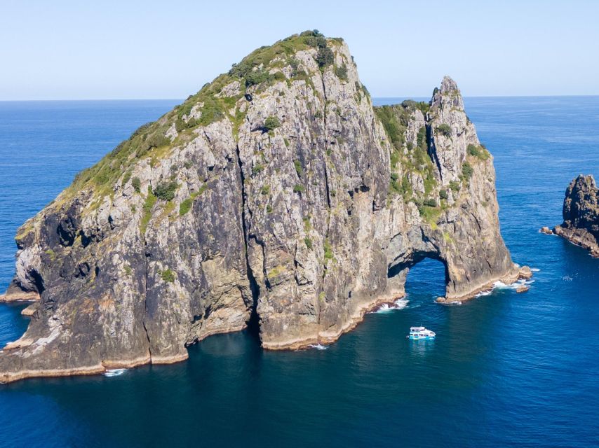 Paihia/Russell: Hole in the Rock Cruise With 2 Island Stops - Practical Tips for Your Cruise Trip