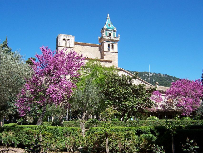 Palma De Mallorca: Palma and Valldemossa Free Time - Travel Tips