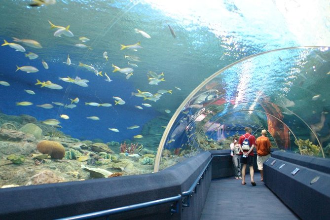 Pattaya Underwater World Admission Ticket With Return Transfer - Booking Details