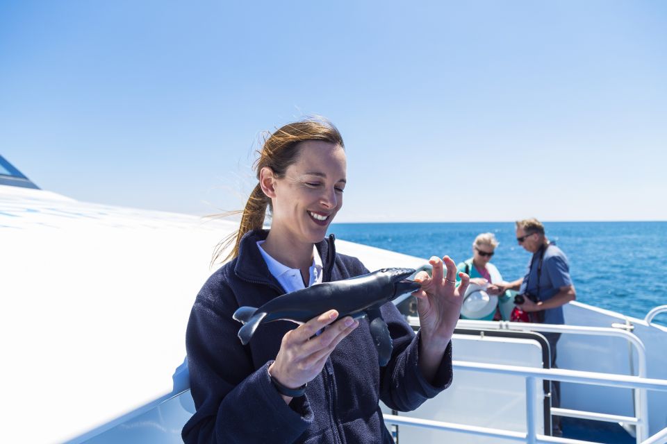 Perth: Whale Watching Cruise From Hillarys Boat Harbor - Last Words