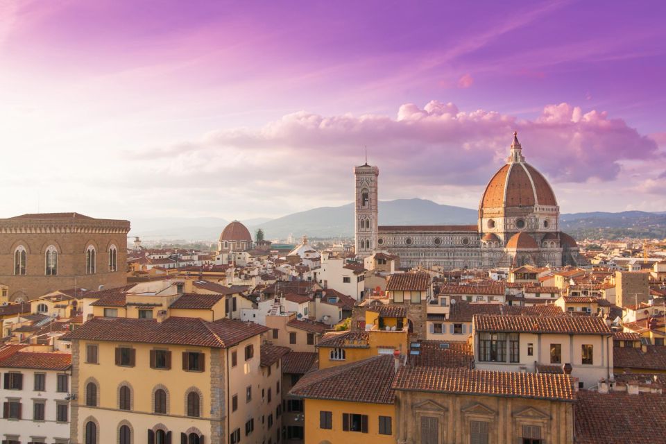 Pivate Transfert From Florence to Naples - Vehicle and Amenities