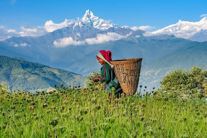 Pokhara 2 Days Private Tour Ghandruk Gurung Village Easy Hiking - Common questions