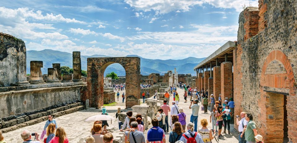 Pompeii, Herculaneum and Vesuvius Private Tour - Inclusions